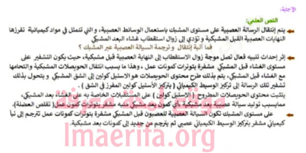 مستعينا برسم تخطيطي اللبنية للبنية الدقيقة للمشبك أكتب نص علمي توضح فيه آلية إنتقال و ترجمة الرسالة العصبية على مستوى المشبك السنة 2 باك