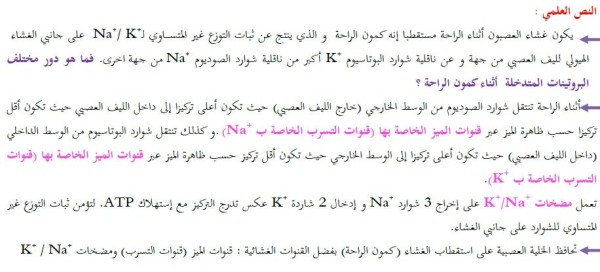 نص علمي حول دور البروتينات في كمون الراحة